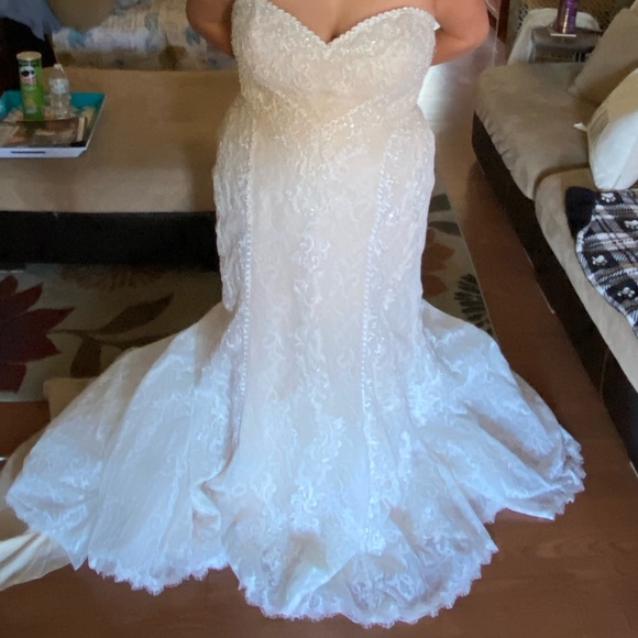Wedding Dress - Picture 14 of 14